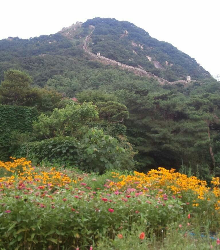 Guesthouse The Kims โซล ภายนอก รูปภาพ