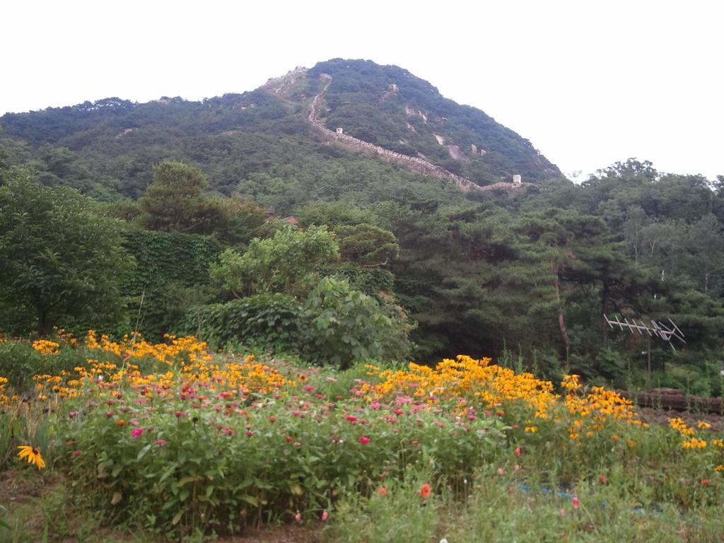 Guesthouse The Kims โซล ภายนอก รูปภาพ